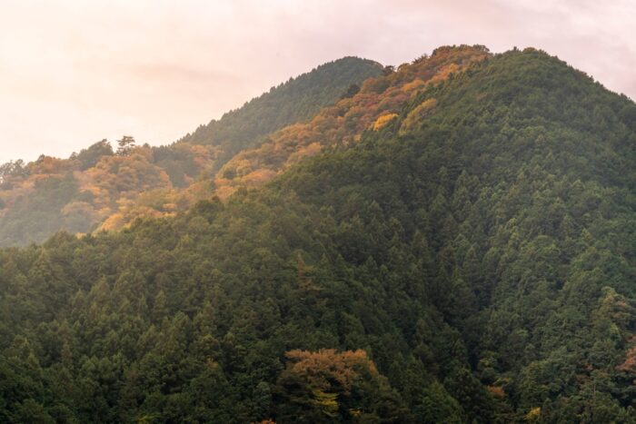 日光二荒山神社の基本情報と特徴