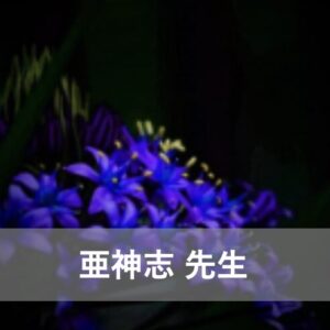 電話占い霊場天扉で人気の当たる占い師2位：亜神志（アカシ）先生