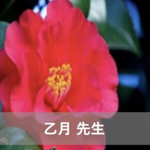 電話占い霊場天扉で人気の当たる占い師3位：乙月（オトツキ）先生