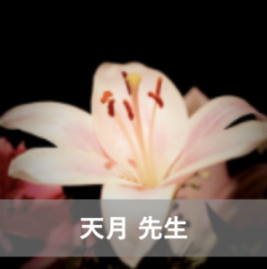 電話占い霊場天扉で人気の当たる占い師5位：天月（アマツキ）先生