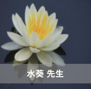 電話占い霊場天扉で人気の当たる占い師7位：水葵（ミズキ）先生